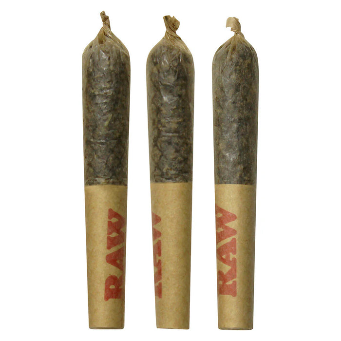 Dab Bods - Widows Blood Disti Joints Infused Pre-Rolls