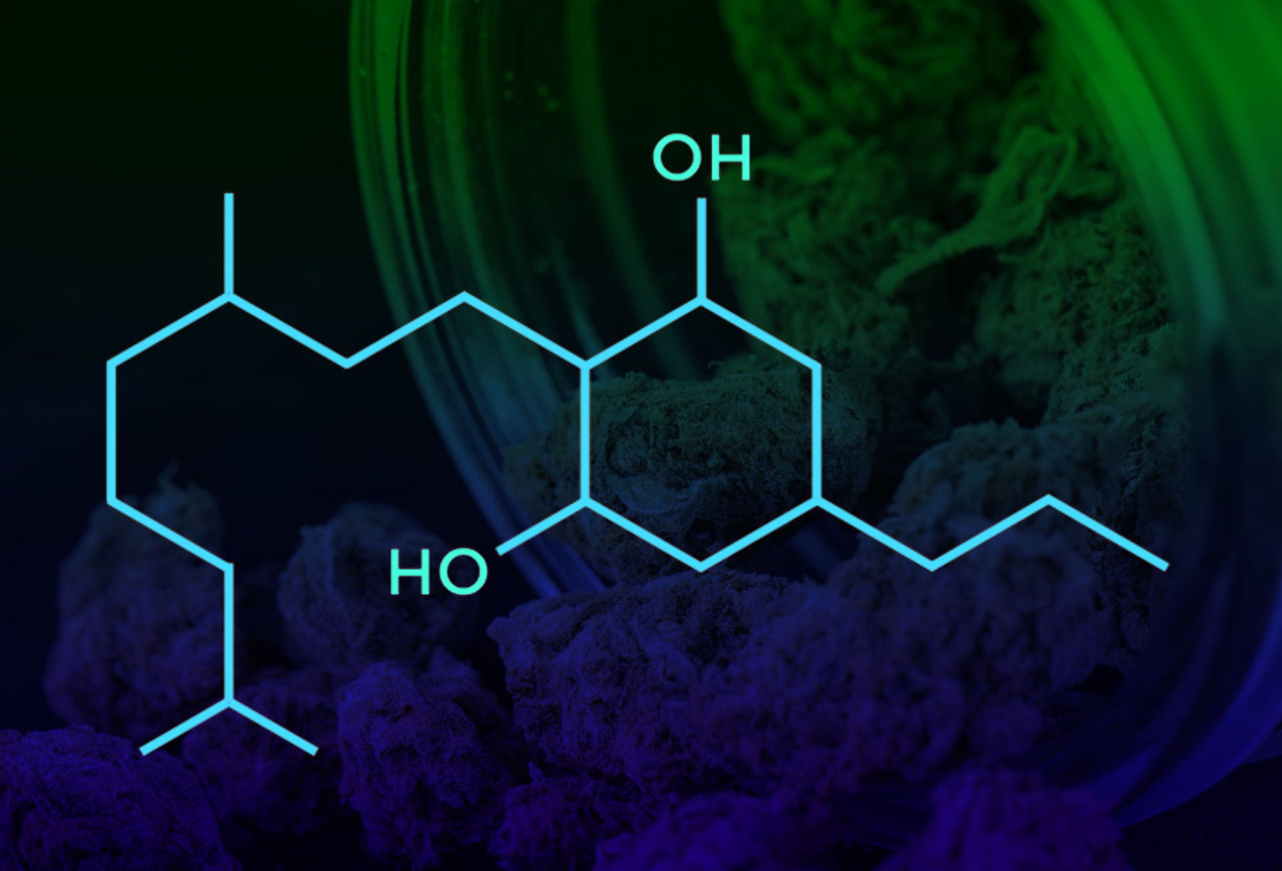 The Mother of All Cannabinoids - Will CBG work for you?