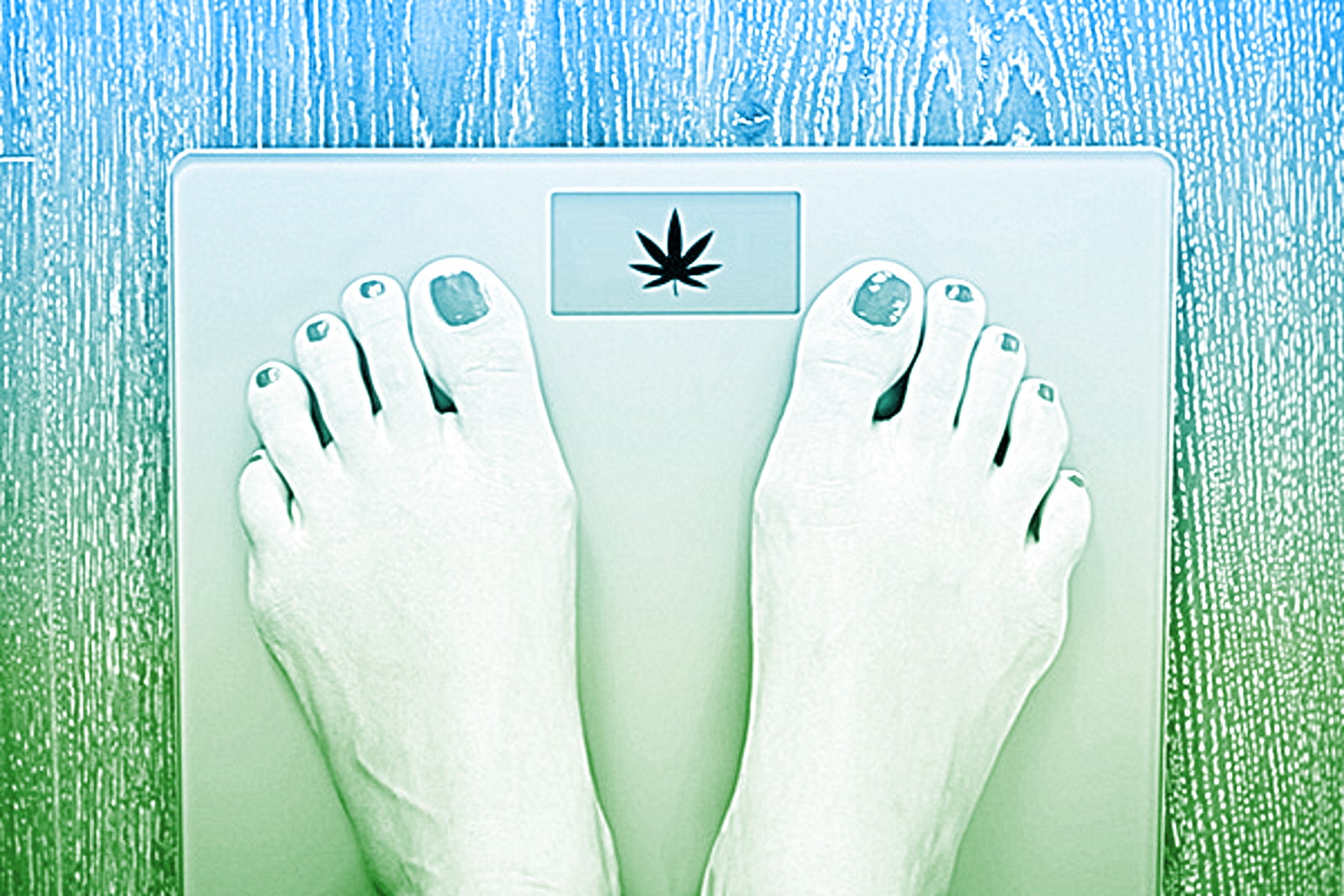 Can Cannabis Really Help You Lose Weight?