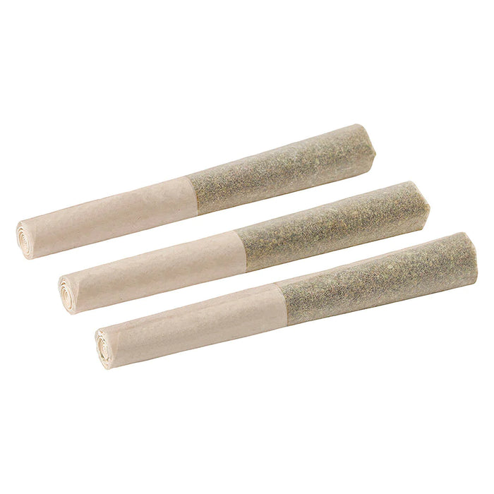 Back Forty - Watermelon Ice Infused Pre-Rolls