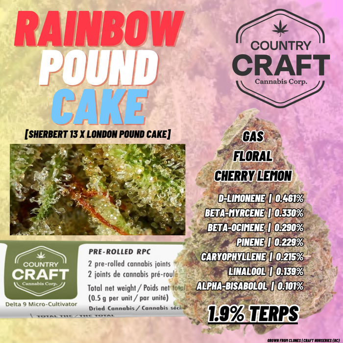 Country Craft Canopy - Pre-Rolled Rainbow Pound Cake