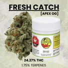 Lake of the Woods Bud Co. - Fresh Catch