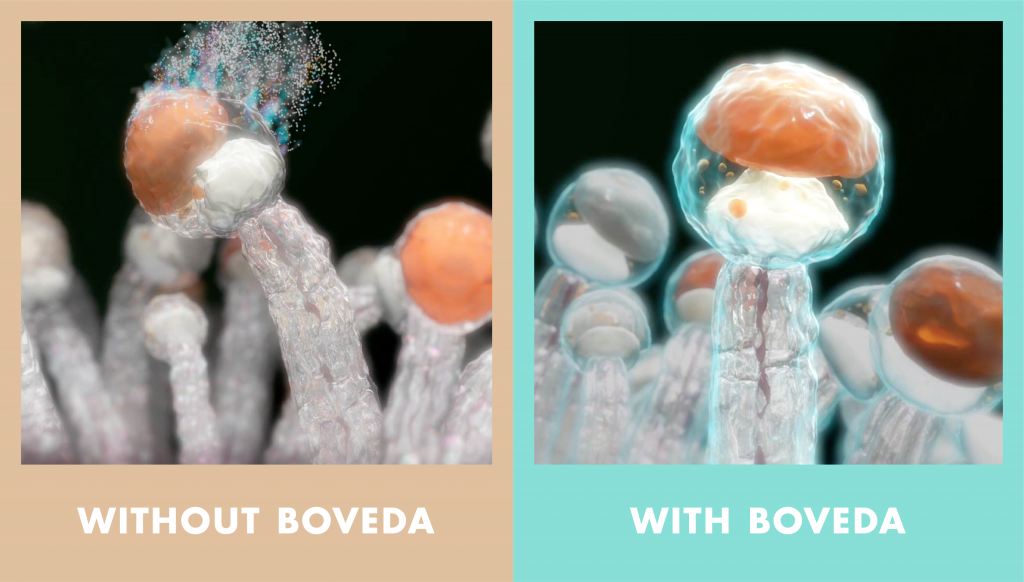 Boveda - Two Way Humidity Control Packs